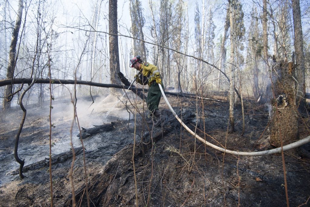 Firefighter putting out flames in forrest near Fort McMurray, Alberta